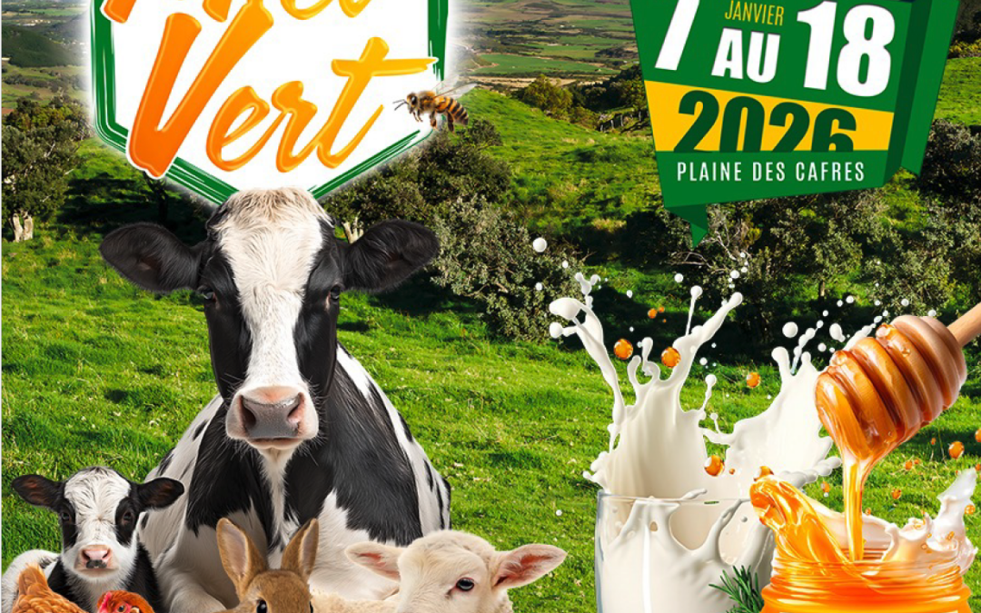 MIEL VERT 2026 : L’ÉVÉNEMENT INCONTOURNABLE DU DÉBUT D’ANNÉE