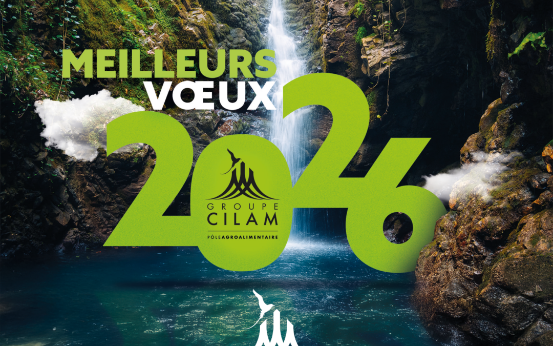 bonne année 2026 à toutes et à tous !