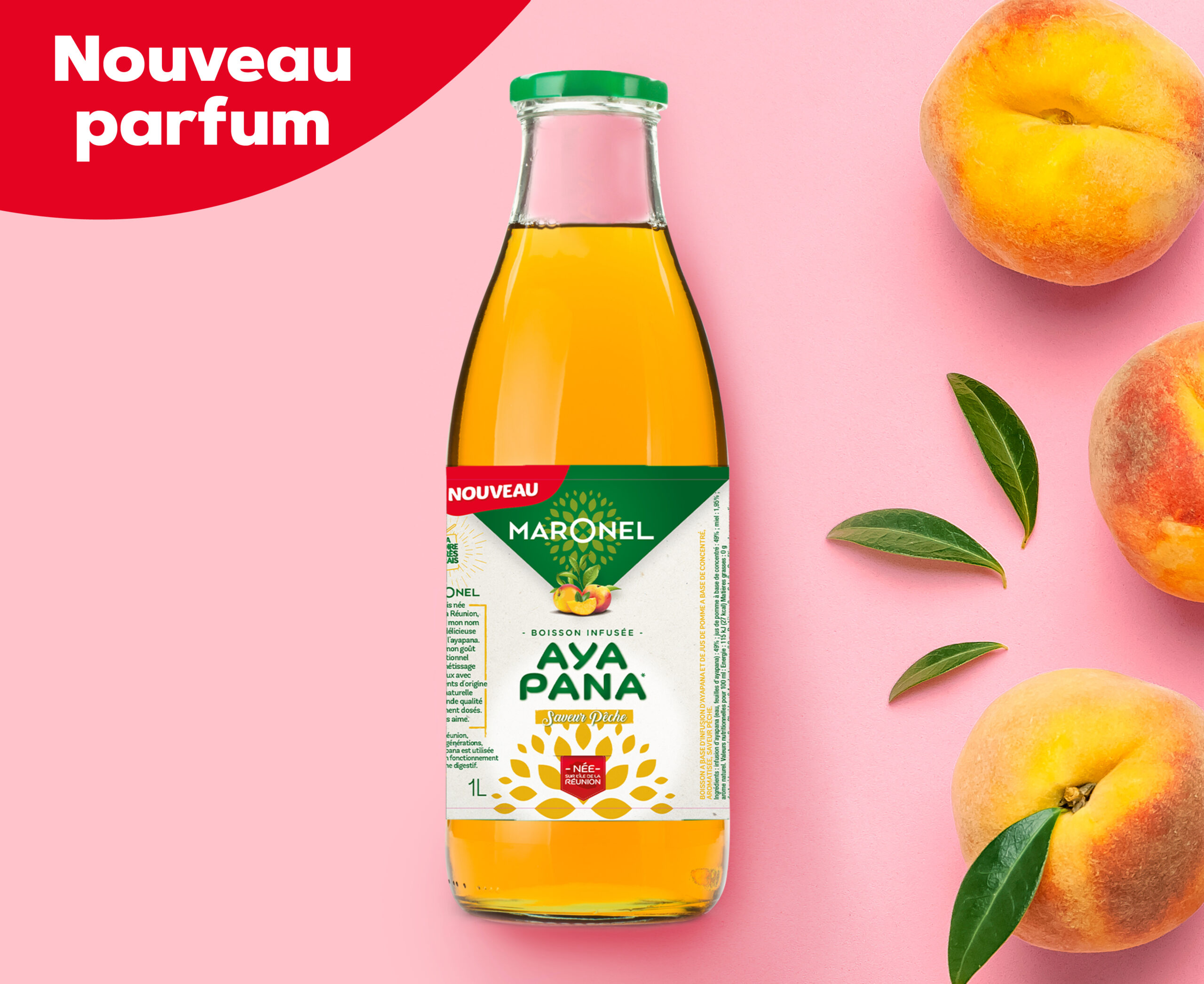 202603_Maronel-AYAPANA-peche