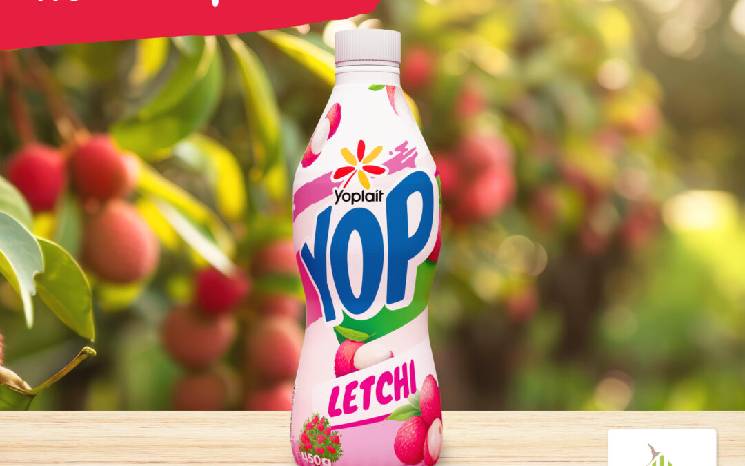 LE YOP LETCHI FAIT SON GRAND RETOUR !