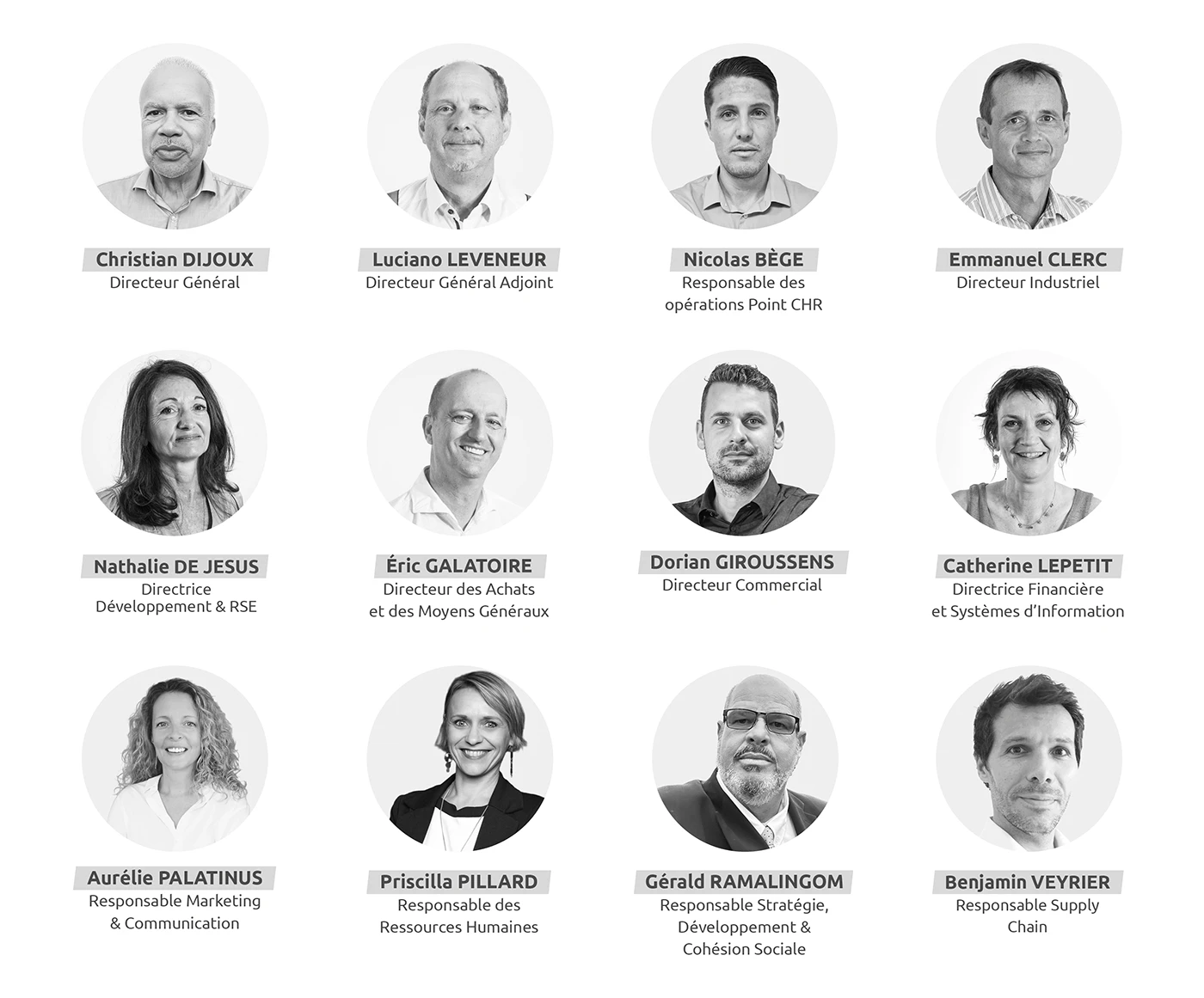 Organigramme de gouvernance du Groupe CILAM Pôle Agro-alimentaire 2026